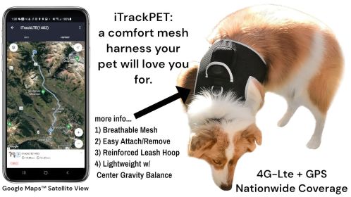 NEW GPS Tracking Dog Collar Locator w/ Effective Realtime Tracking App Size:L