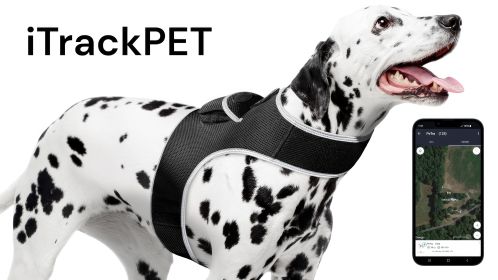 GPS Dog Collar Tracking Device Waterproof Pet Tracker with SMS Alerts Size:M