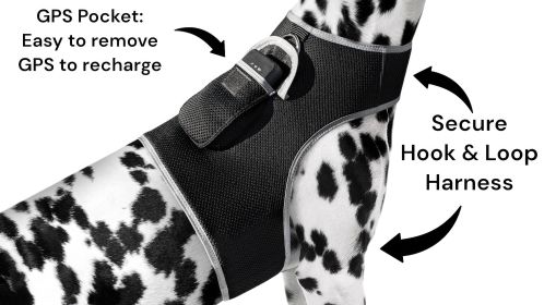 GPS Pet Tracking Device Rechargeable Collar Mount Portable Dog Tracker Size:M