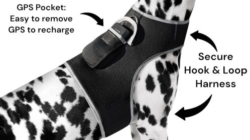 Wireless GPS Tracking Collars for Dogs Waterproof Realtime Pet Locator Size:L