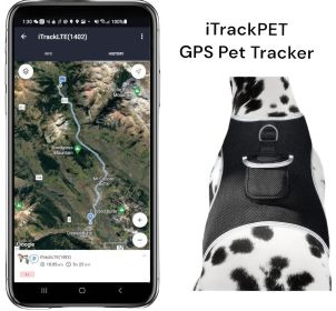 Best Dog GPS Pet Locator - Pet Tracker GSM GPRS Waterproof Tracking Device Size:M